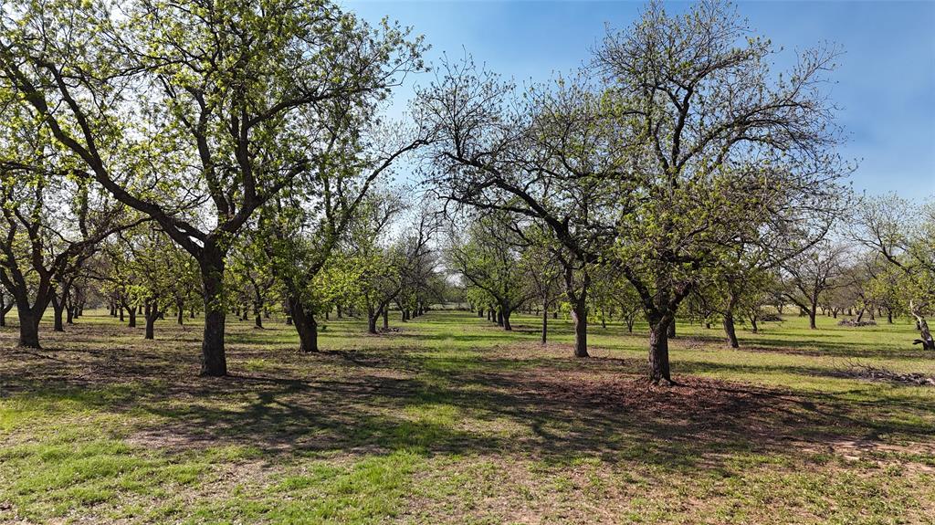 0 Pecan Lane Newcastle, TX 76372 - Photo 2 of 29
