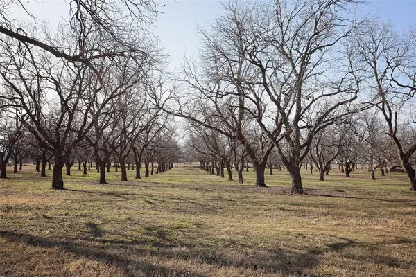 a view of road with trees