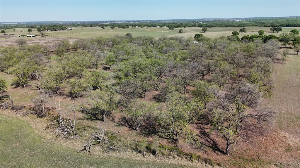 0 Pecan Lane Newcastle, TX 76372 - Photo 5 of 29 a view of a bunch of trees and bushes