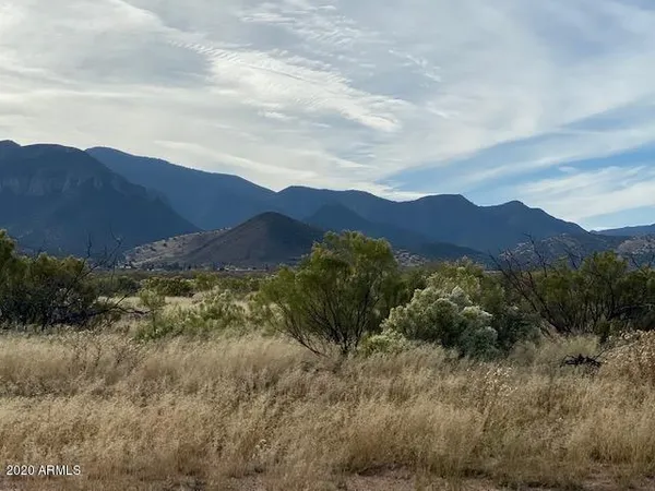 a view of a lush green mountain in the distance in a field
