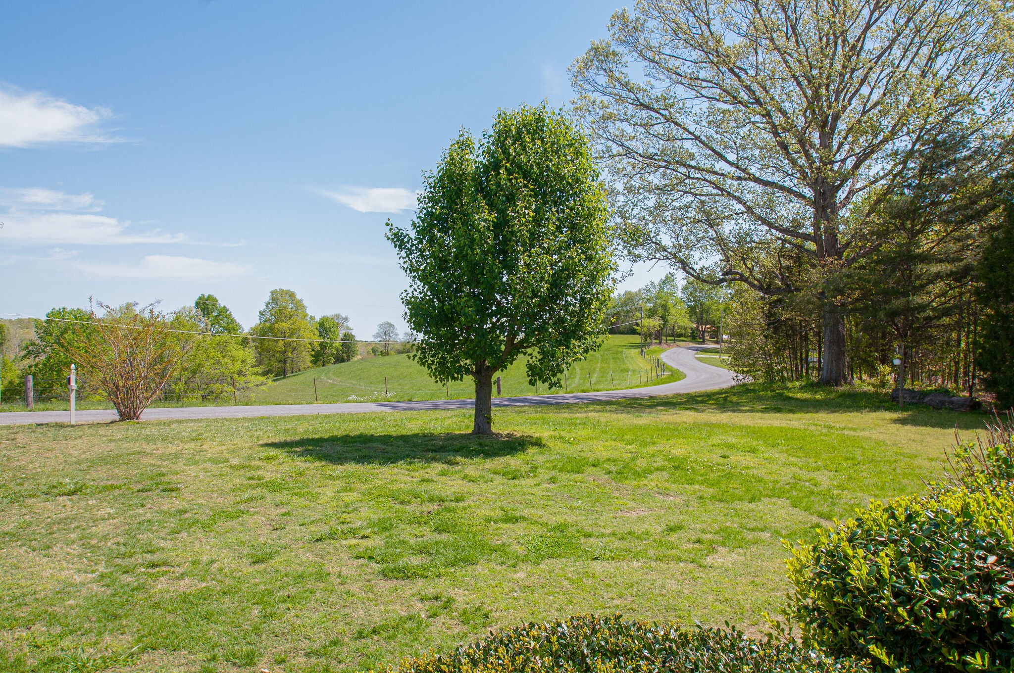 2258 Wolfe Road White Bluff, TN 37187 - Photo 7 of 30 Gallery Image 7