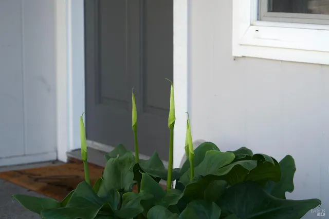 a bedroom with a large bed and a large window