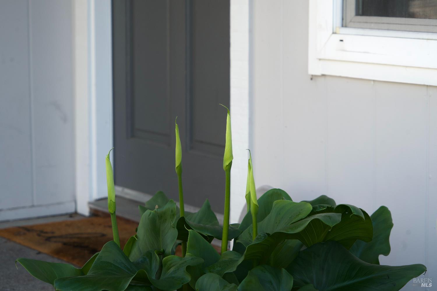 5050 Parkhurst Drive Santa Rosa, CA 95409 - Photo 30 of 32