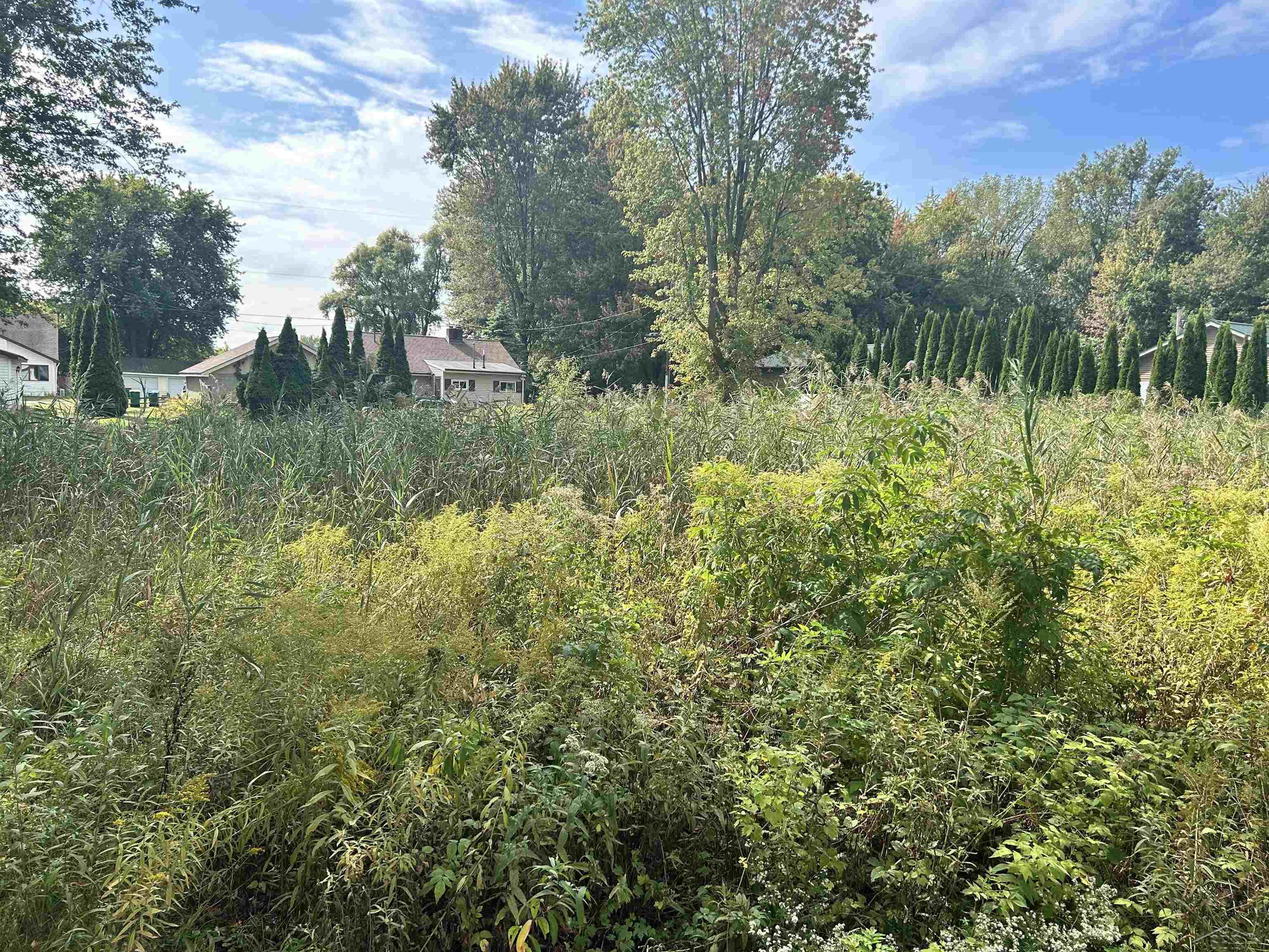Shady Shores Road Bay City, MI 48706 - Photo 10 of 11