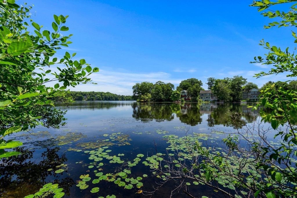 64 Shore Road Wellesley, MA 01760 - Photo 2 of 42