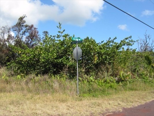 31 South Ililani Road Pahoa, HI 96778 - Photo 4 of 8 a backyard of a house with lots of green space and fog