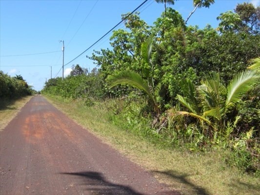 31 South Ililani Road Pahoa, HI 96778 - Photo 5 of 8 a view of a yard with plants and a trees