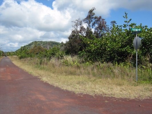 31 South Ililani Road Pahoa, HI 96778 - Photo 6 of 8 a view of a lake from a yard