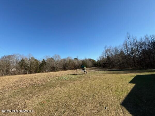 1762 Smart Road Como, MS 38619 - Photo 10 of 10 IMG_1756.jpg