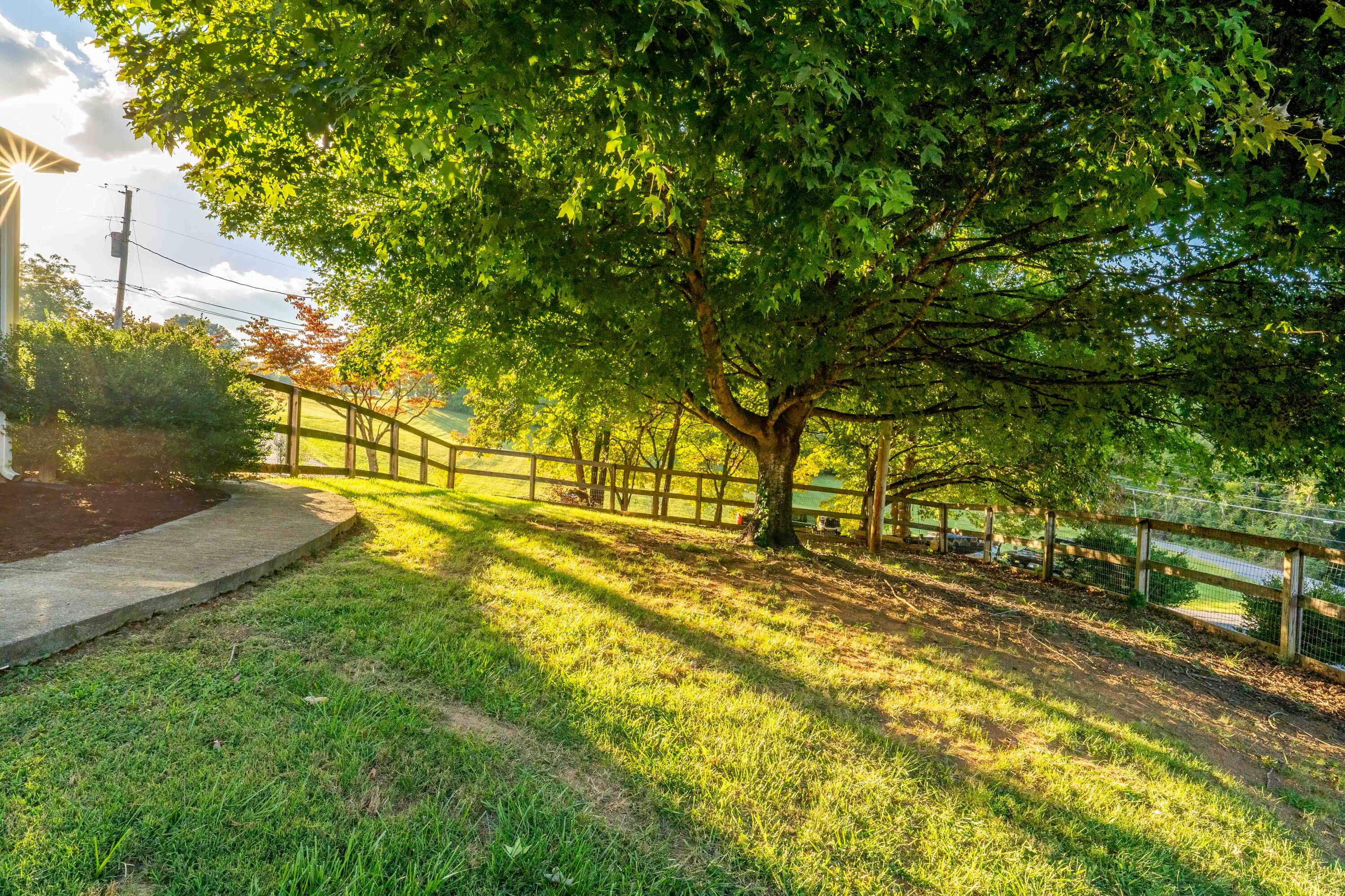 109 Ashlee Road Johnson City, TN 37601 - Photo 23 of 42 109 Ashlee Rd (23 of 46)