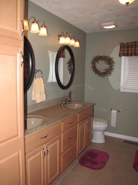 1207 Rabbit Run Road Goodview, VA 24095 - Photo 22 of 36 a bathroom with a toilet a sink and a mirror