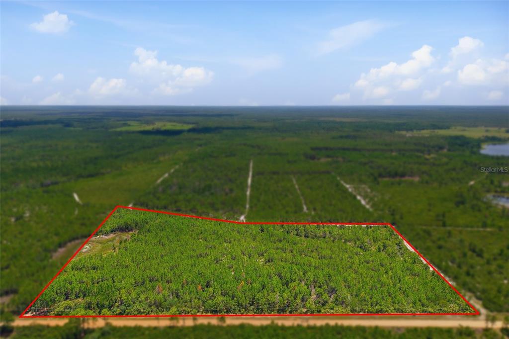70 Maggie Jones Road Eustis, FL 32736 - Photo 1 of 10
