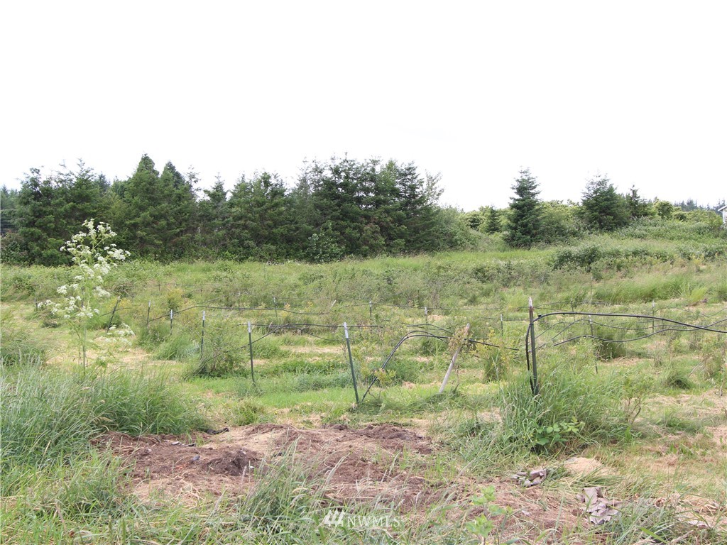 2142 East Hemmi Road Bellingham, WA 98226 - Photo 14 of 18 Gallery Image 14