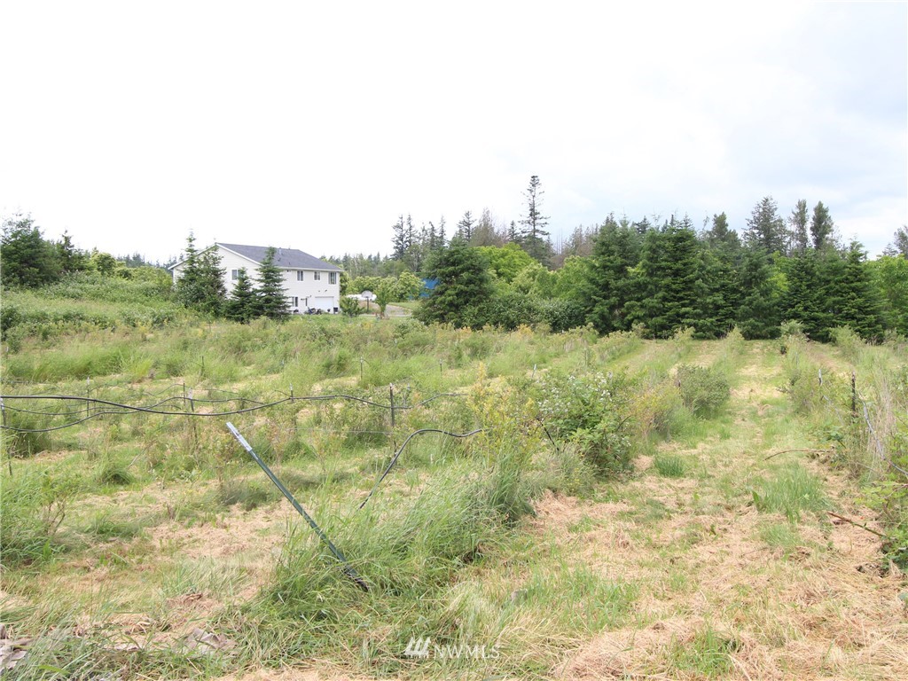 2142 East Hemmi Road Bellingham, WA 98226 - Photo 15 of 18 Gallery Image 15