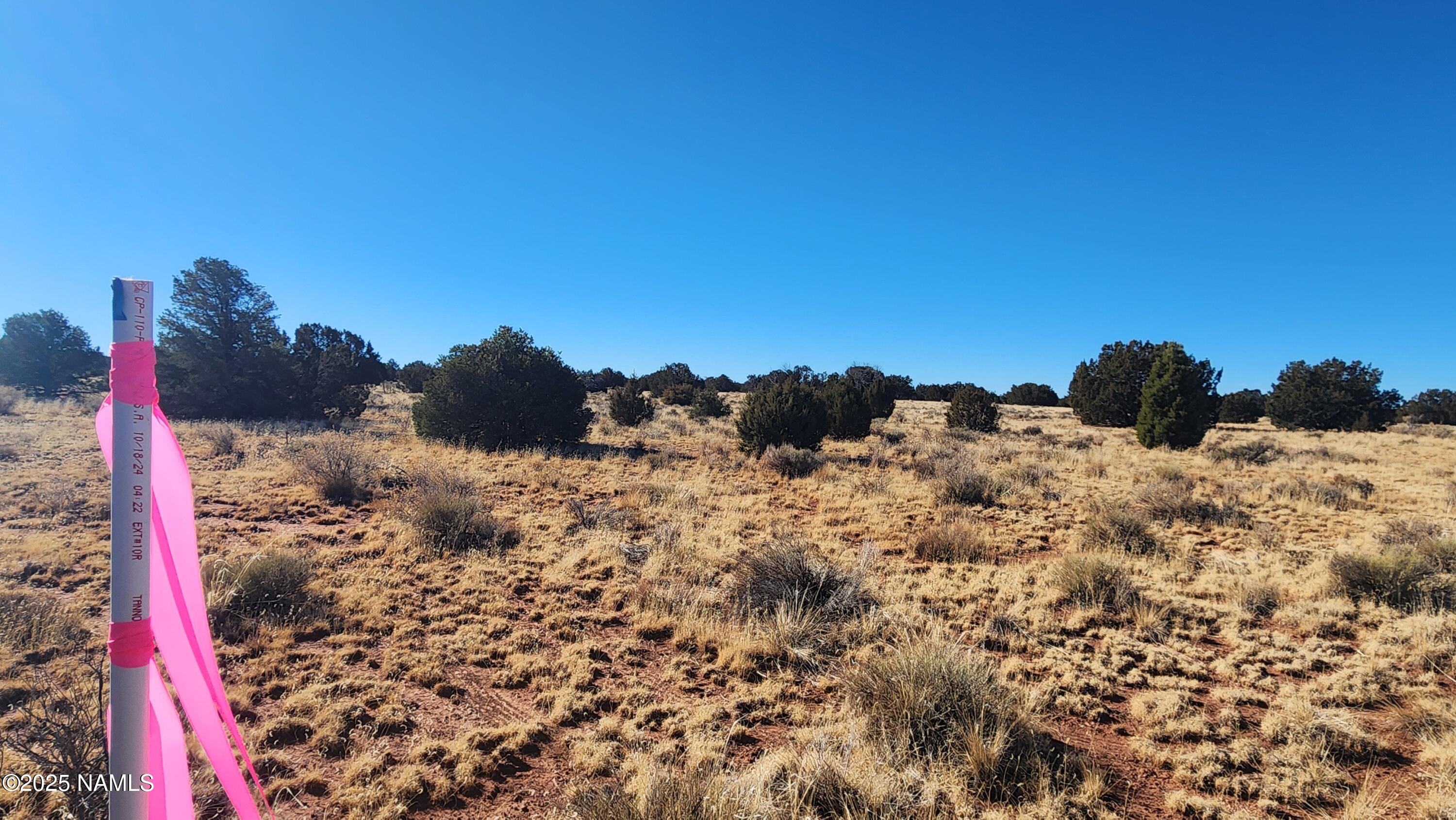 3372 East Valencia Road Williams, AZ 86046 - Photo 1 of 32 1000023778