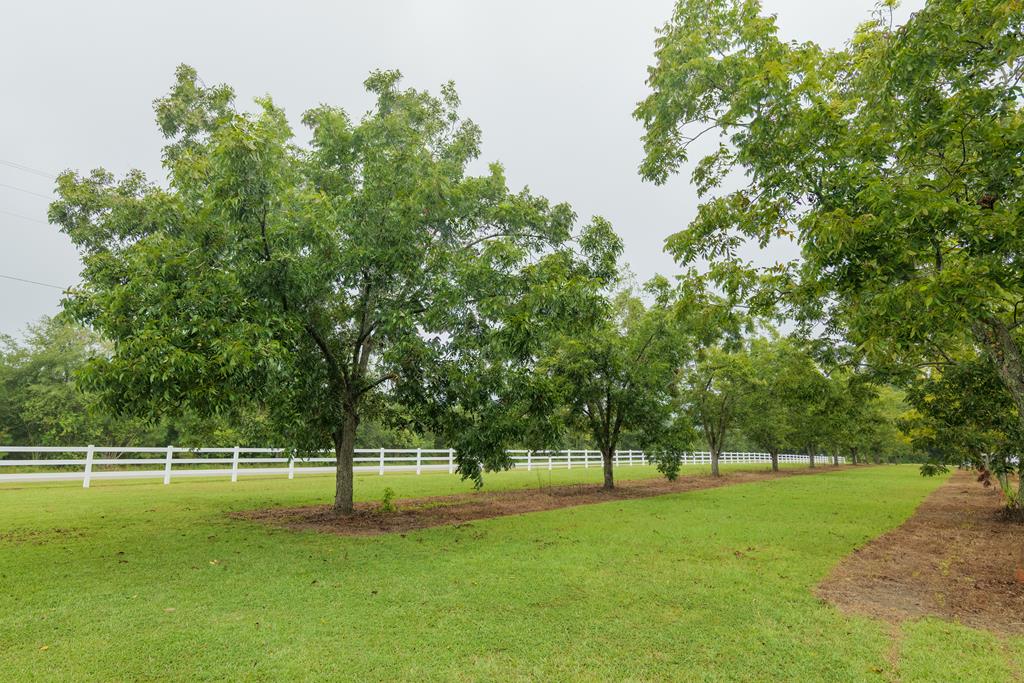 4572 Studstill Road Quitman, GA 31643 - Photo 50 of 53 Gallery Image 50