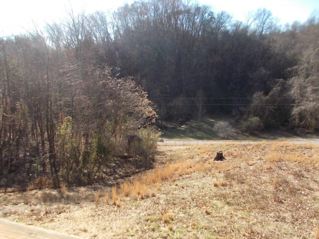 3399 Sam Adams Road Morristown, TN 37813 - Photo 3 of 20 Photo 3