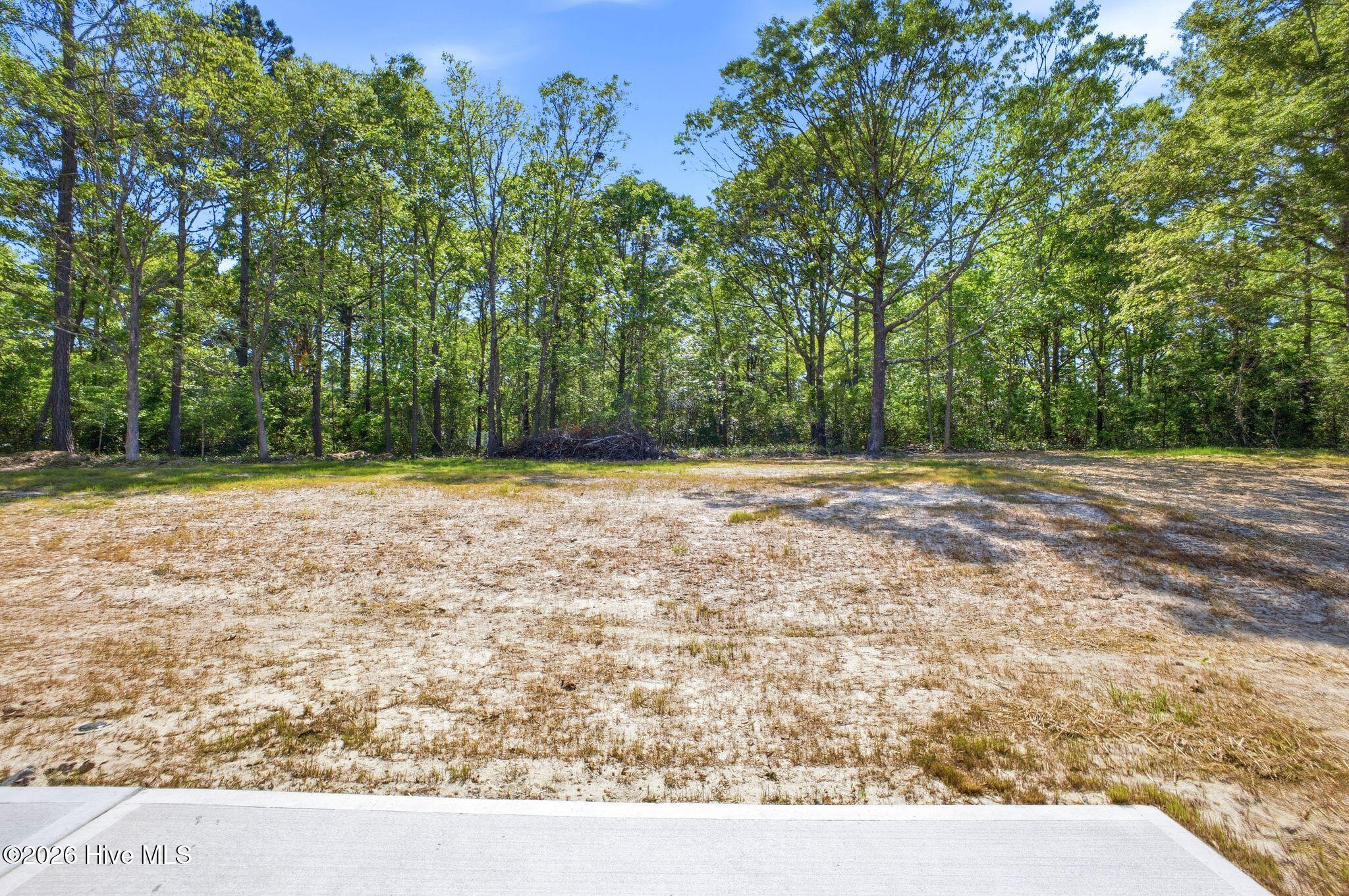 2409 Sunset Harbor Road Southeast Bolivia, NC 28422 - Photo 12 of 60 64_457A4497