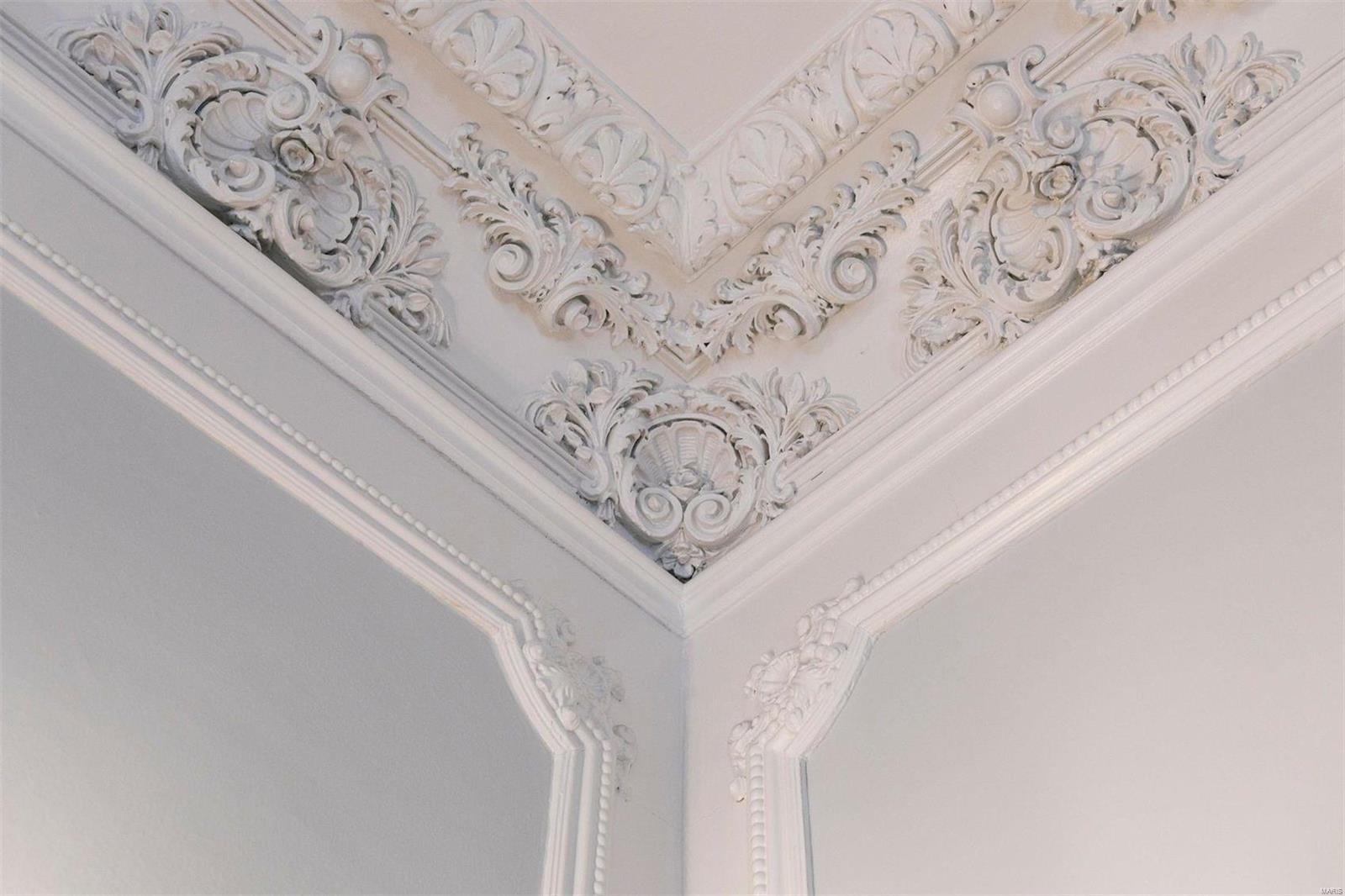 37 Washington Terrace St. Louis, MO 63112 - Photo 14 of 65