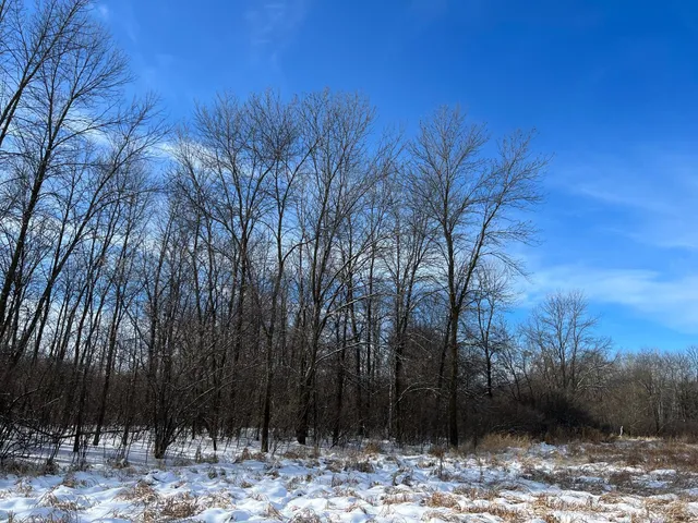 $229,900 | 169-xx Lake Boulevard, Shafer, MN 55074