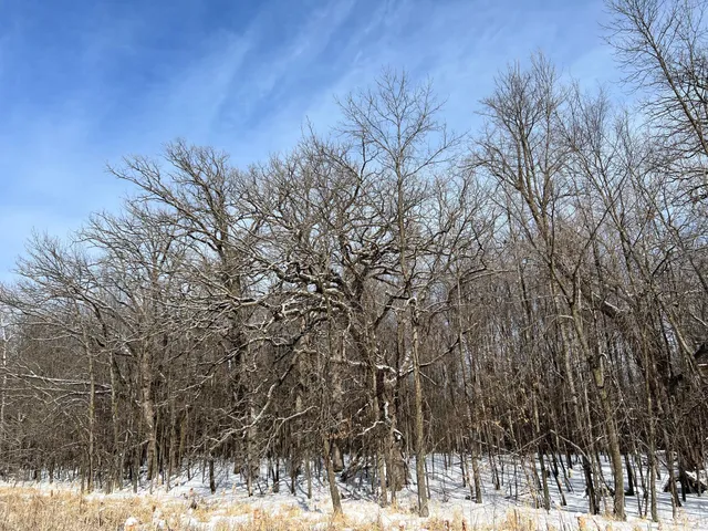 $229,900 | 169-xx Lake Boulevard, Shafer, MN 55074