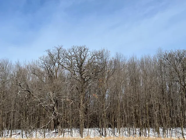 $229,900 | 169-xx Lake Boulevard, Shafer, MN 55074