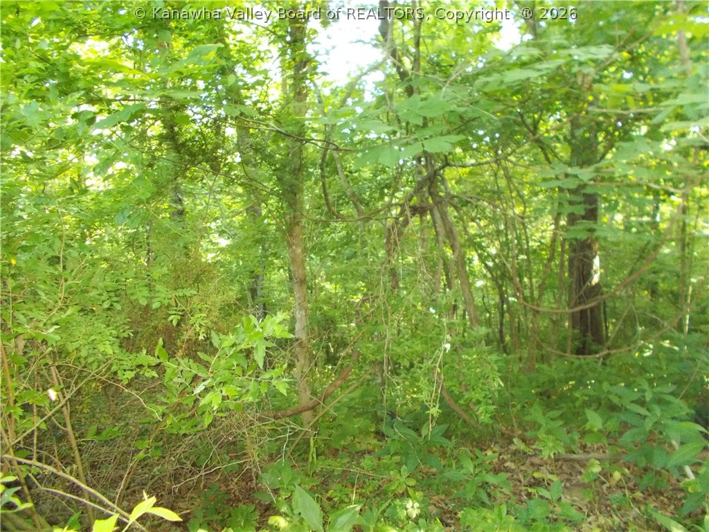 12 Pine Grove Road Sumerco, WV 25567 - Photo 6 of 6 Gallery Image 6