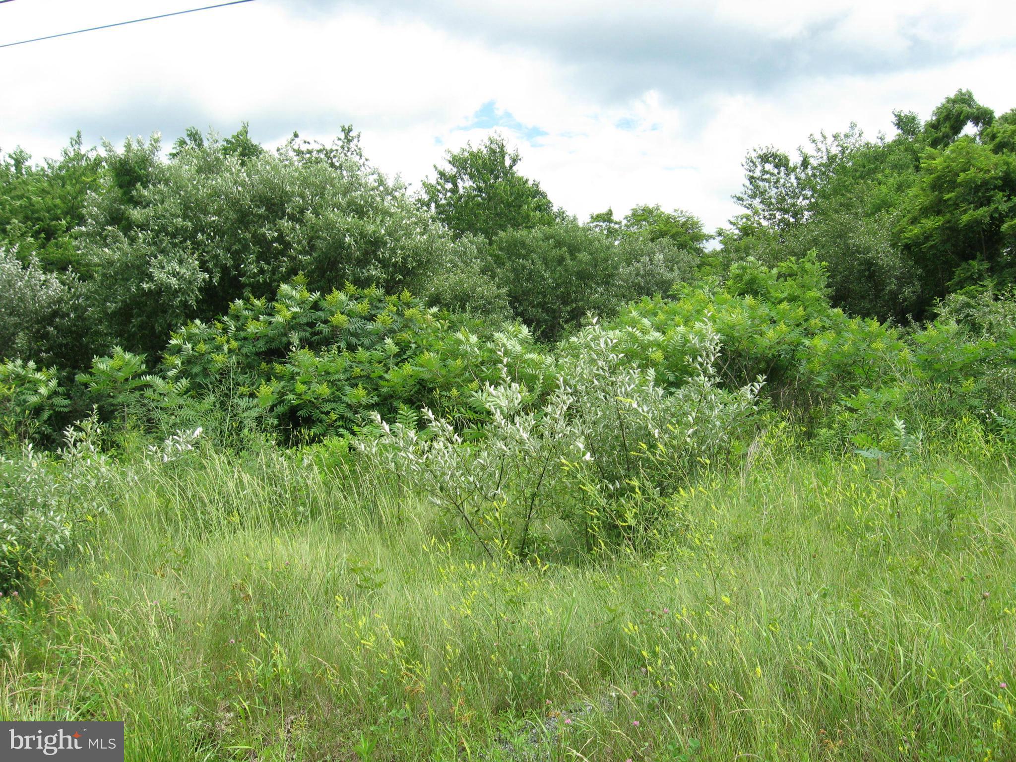 Tabor Rd/ Berkeley Springs Berkeley Springs, WV 25411 - Photo 2 of 8 View