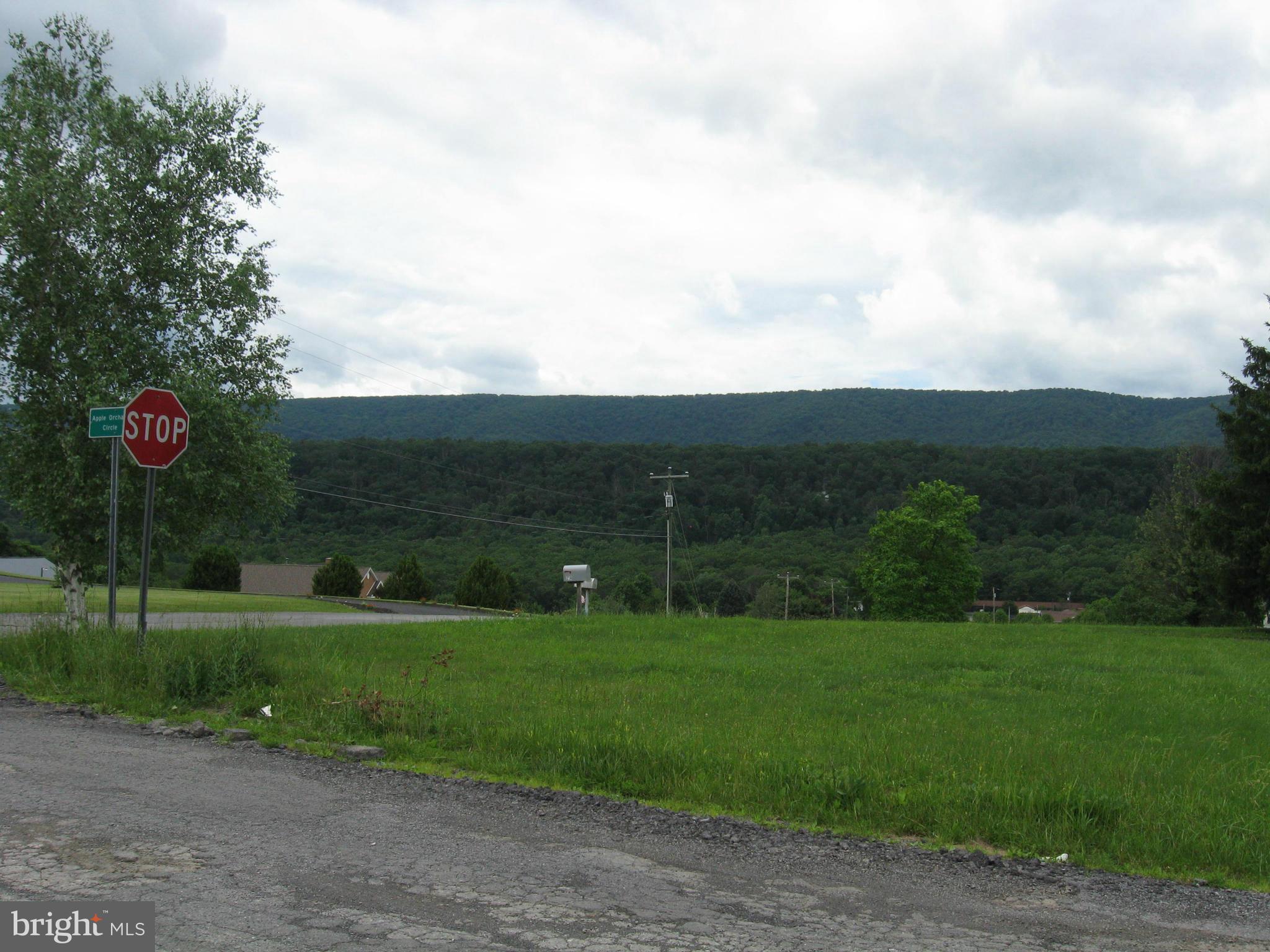 Tabor Rd/ Berkeley Springs Berkeley Springs, WV 25411 - Photo 3 of 8 View