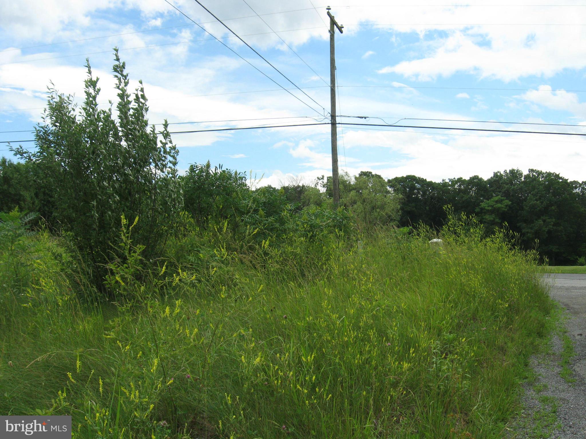 Tabor Rd/ Berkeley Springs Berkeley Springs, WV 25411 - Photo 4 of 8 View