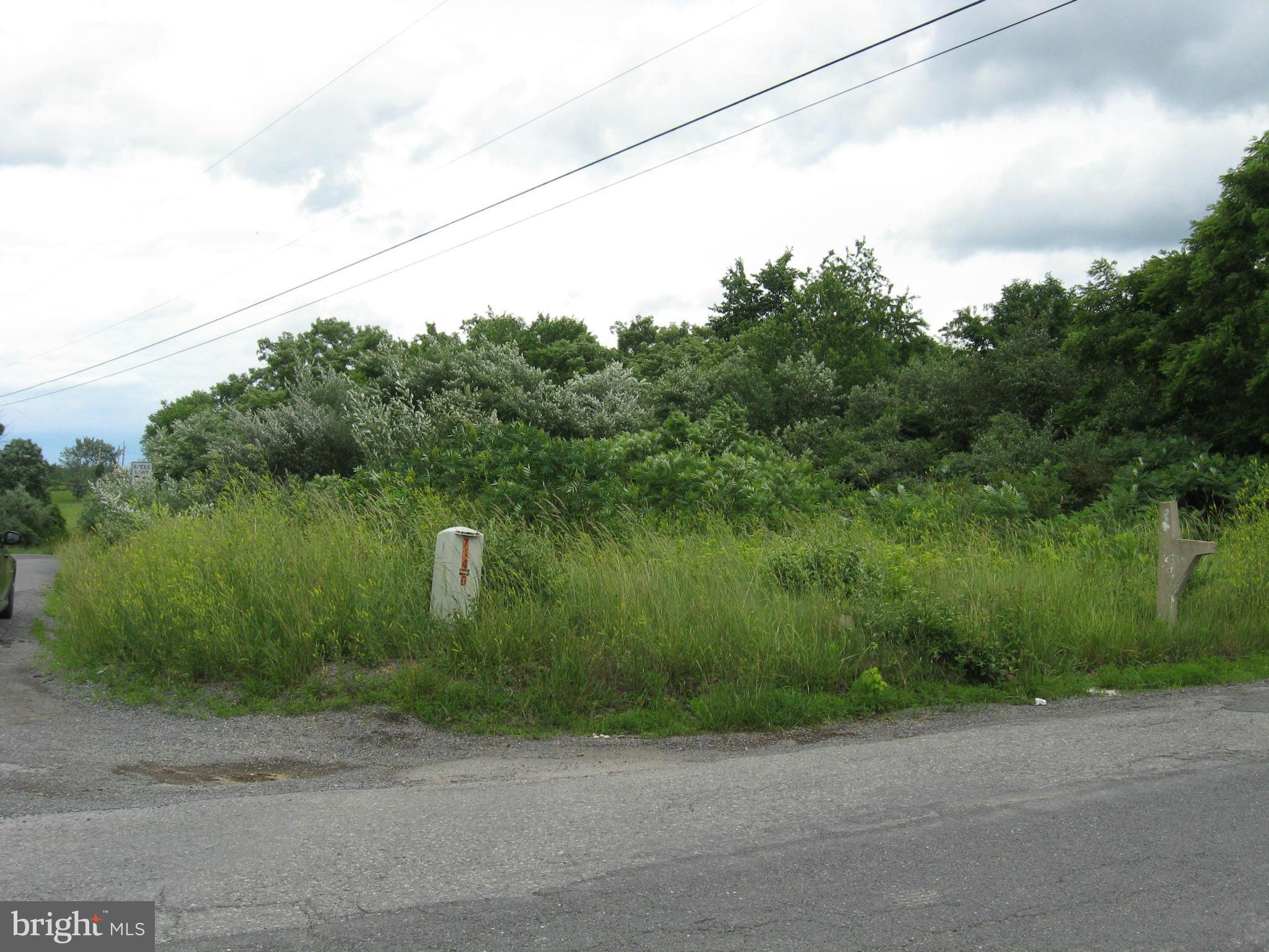 Tabor Rd/ Berkeley Springs Berkeley Springs, WV 25411 - Photo 6 of 8 View
