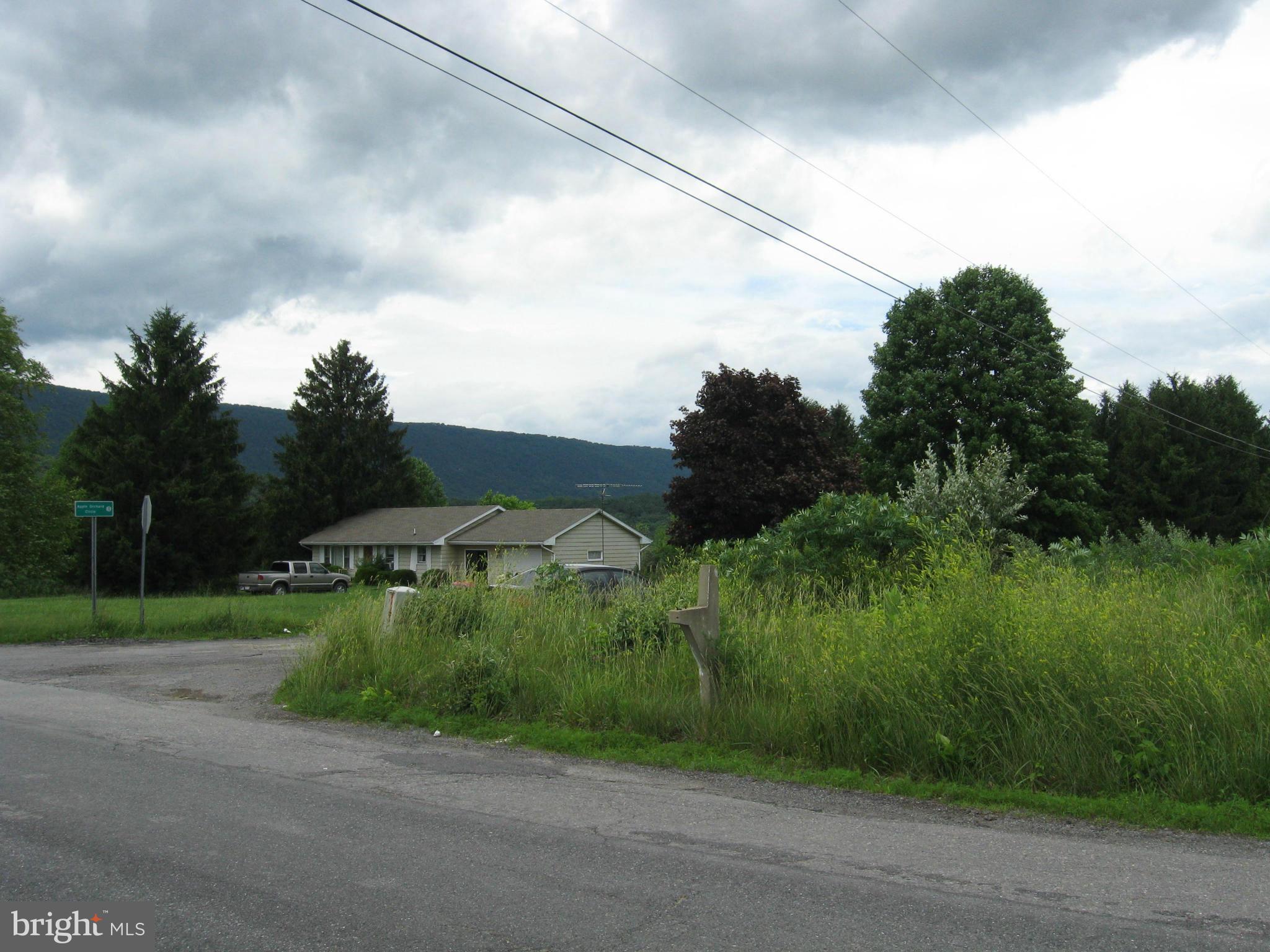 Tabor Rd/ Berkeley Springs Berkeley Springs, WV 25411 - Photo 7 of 8 View
