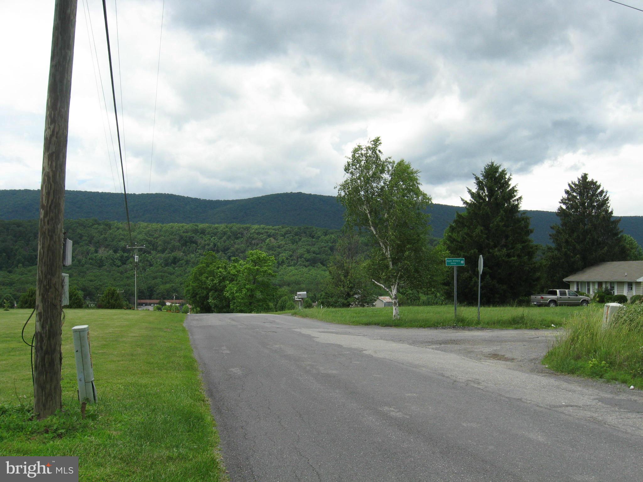 Tabor Rd/ Berkeley Springs Berkeley Springs, WV 25411 - Photo 8 of 8 View