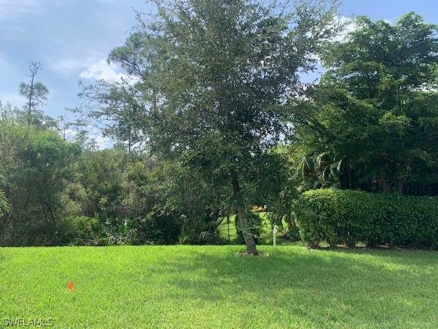 8976 Water Tupelo Road Fort Myers, FL 33912 - Photo 27 of 35 a view of green field with trees in the background