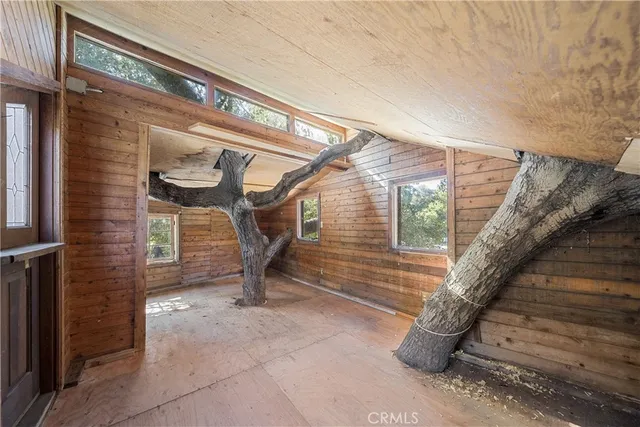 a view of a yard with plants and trees