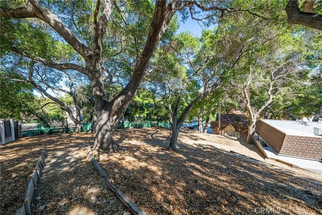 a view of road and trees