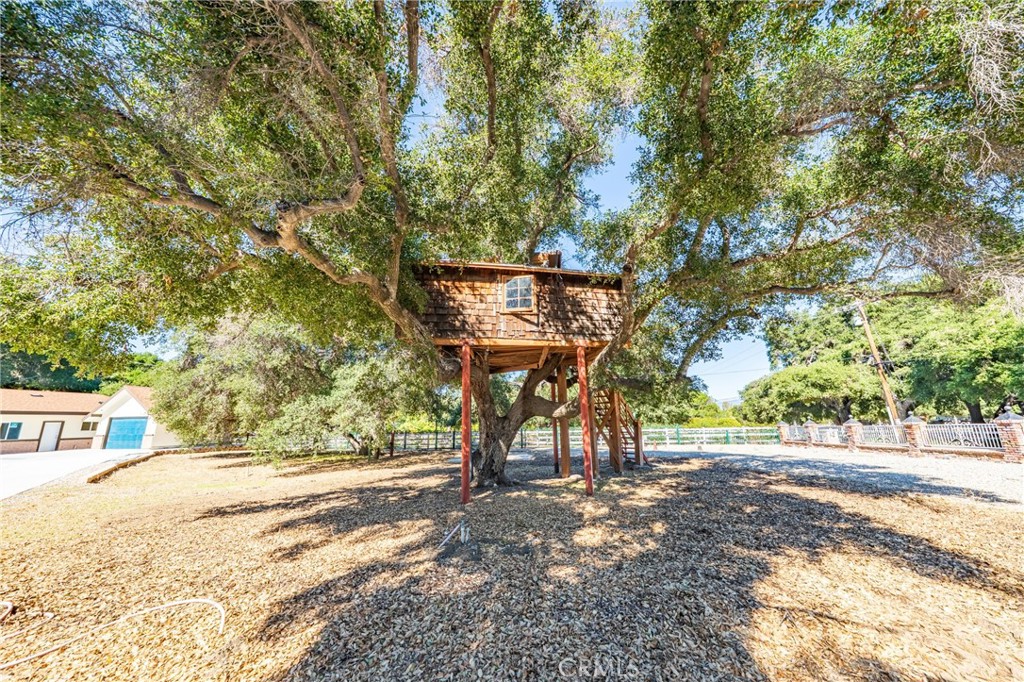 26251 Ravenhill Road Canyon Country, CA 91387 - Photo 60 of 64 a view of road and trees