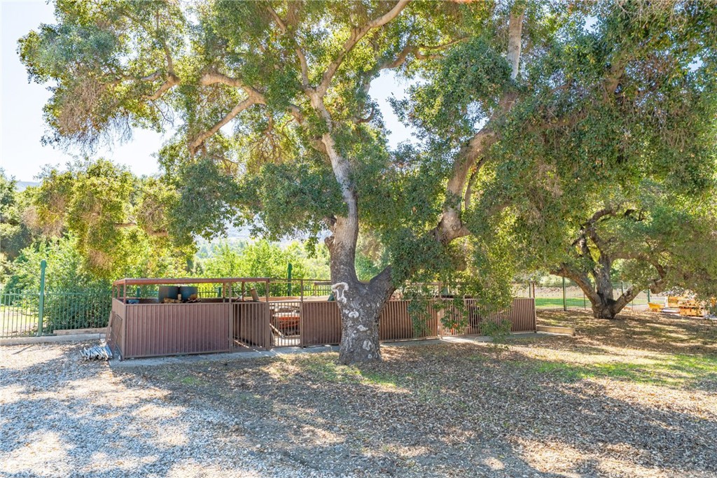 26251 Ravenhill Road Canyon Country, CA 91387 - Photo 62 of 64 a view of backyard with a barn and large trees