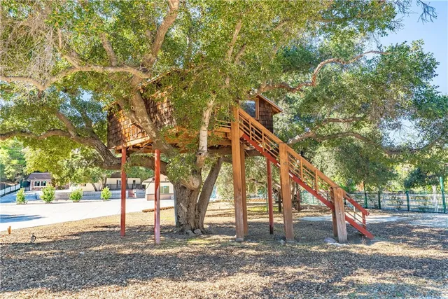 a backyard of a building with trees