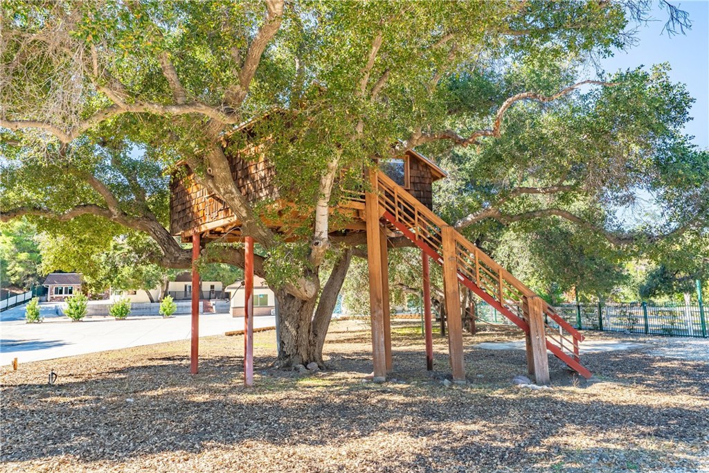 26251 Ravenhill Road Canyon Country, CA 91387 - Photo 7 of 64 a backyard of a building with trees