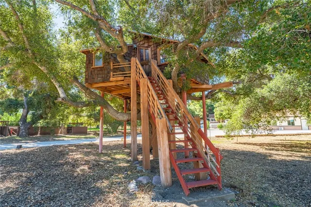 a view of a park with large trees