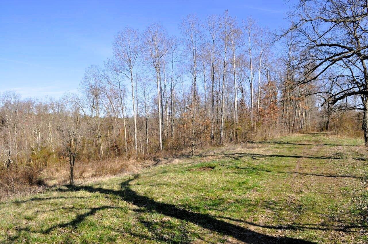 4984 Gun Club Road Athens, OH 45701 - Photo 12 of 22 Property View - 4984 Gun Club Road, Athens, OH 45701