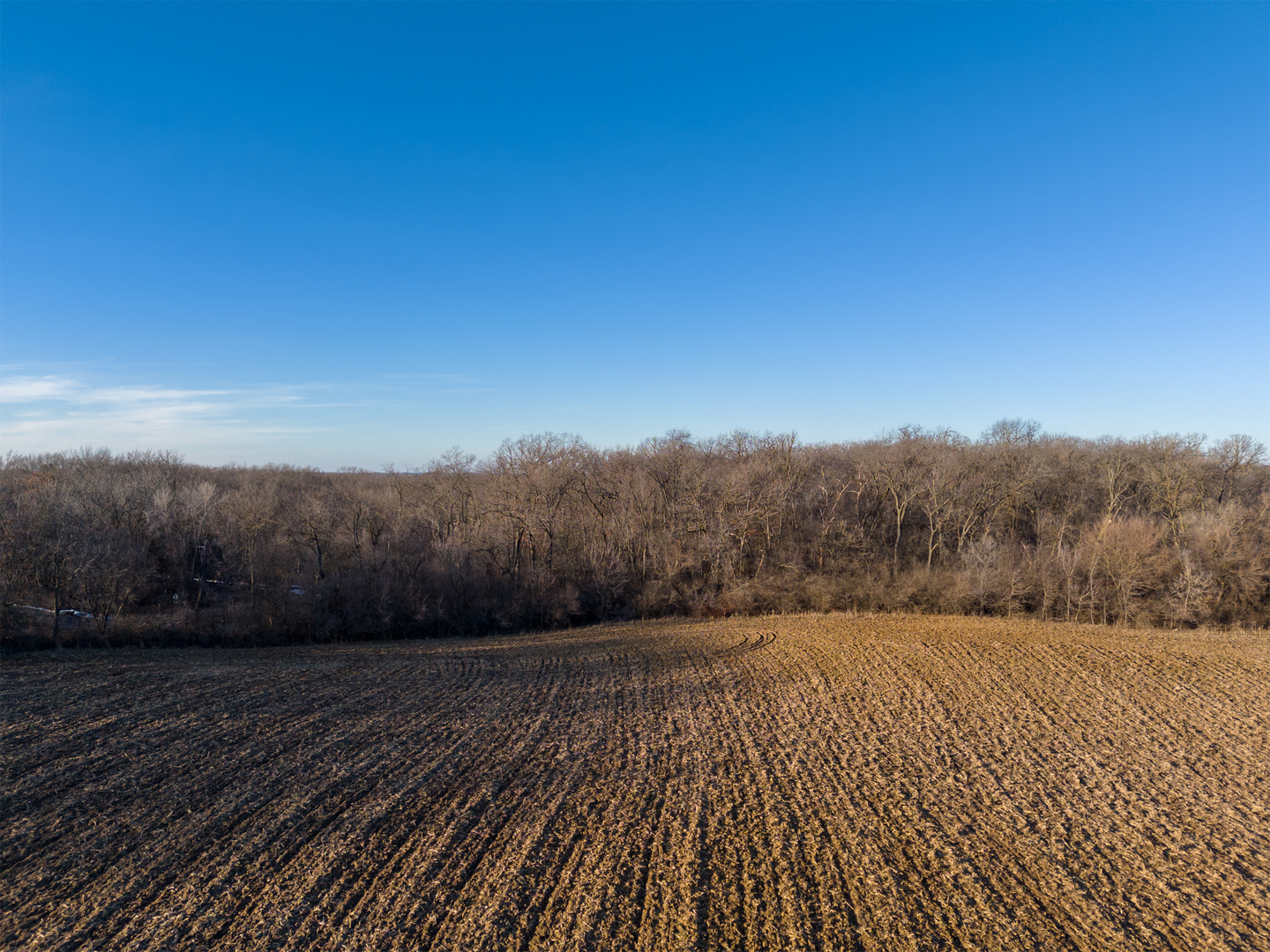 40-acres Bull Valley Road Bull Valley, IL 60098 - Photo 3 of 11 a view of a backyard