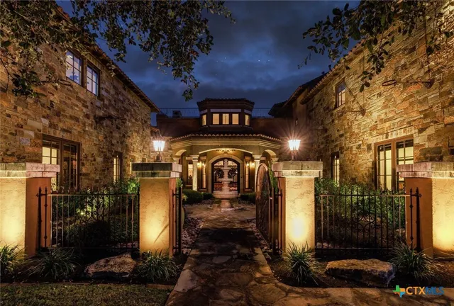 a close up of a tree