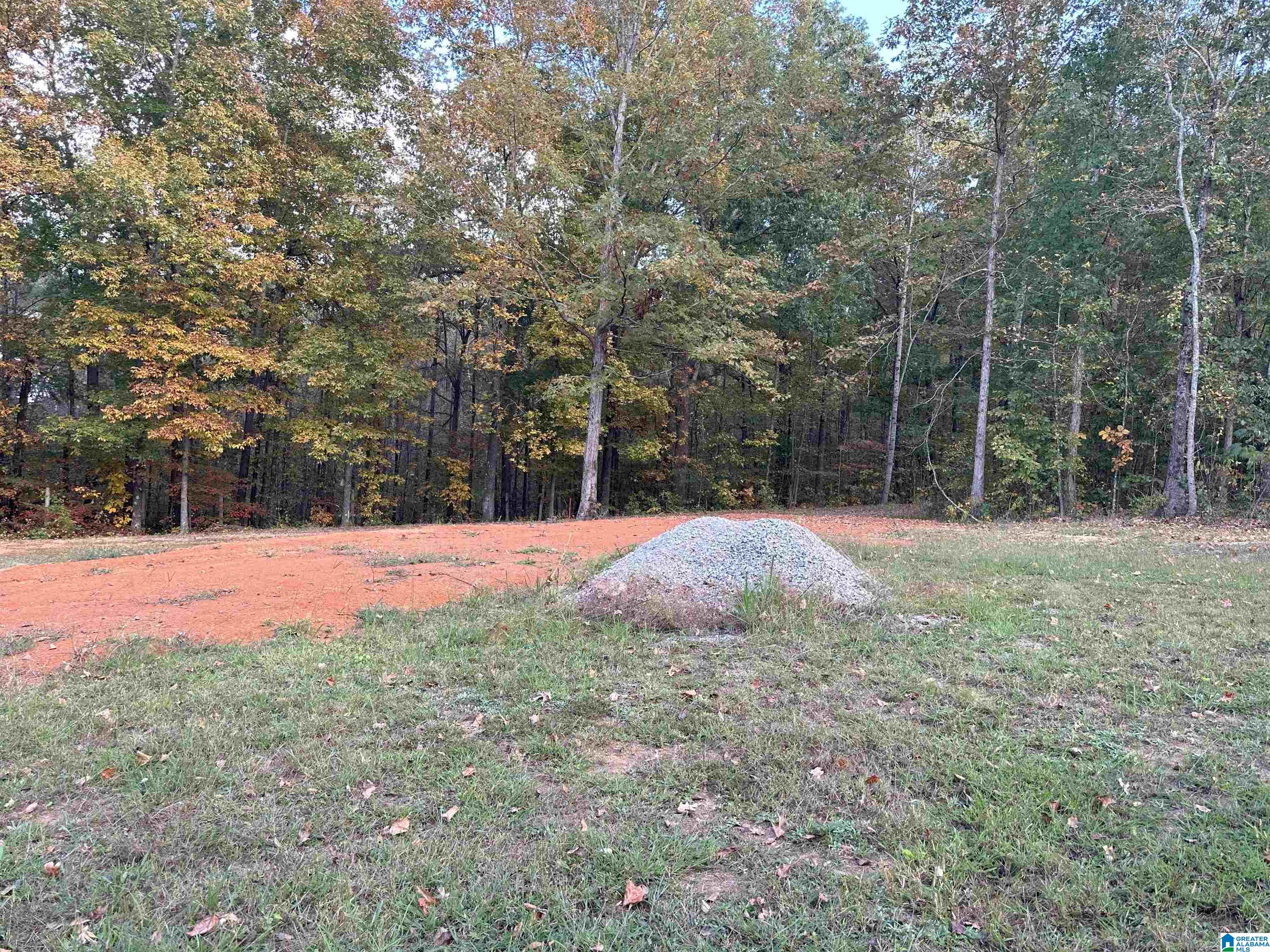 55 Oak Tree Street Cropwell, AL 35054 - Photo 17 of 27