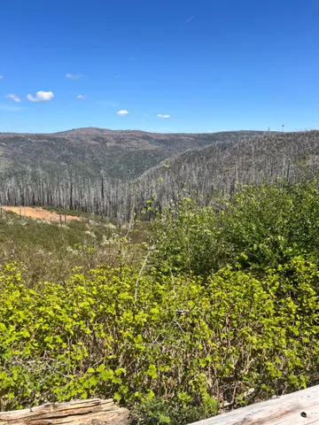 $89,000 | 40 Wentworth Springs Road, Georgetown, CA 95634