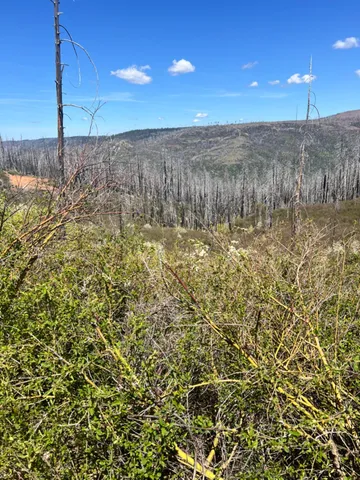 $89,000 | 40 Wentworth Springs Road, Georgetown, CA 95634