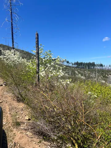 $89,000 | 40 Wentworth Springs Road, Georgetown, CA 95634