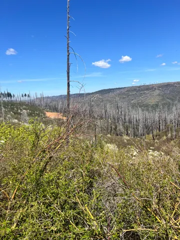 $89,000 | 40 Wentworth Springs Road, Georgetown, CA 95634