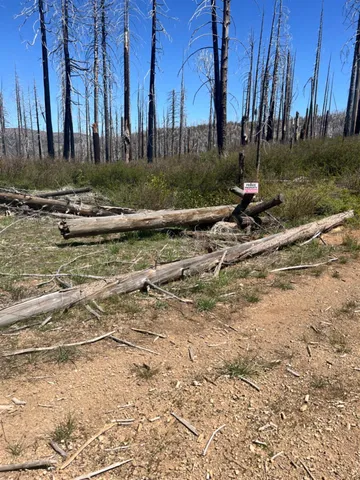 $89,000 | 40 Wentworth Springs Road, Georgetown, CA 95634